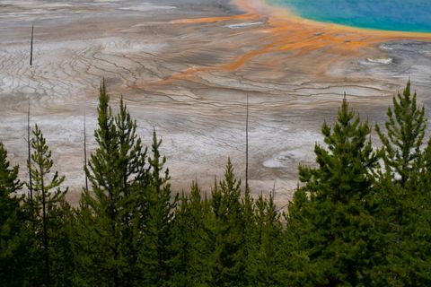 Grand Prismatic Spring with trees