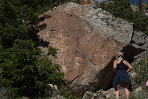 student looks at petroglyphs on a rock